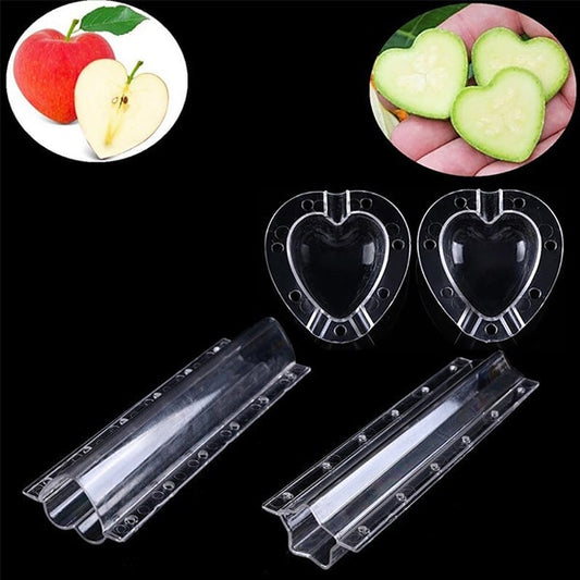 Fruit Shaping Mold (4 PCS)