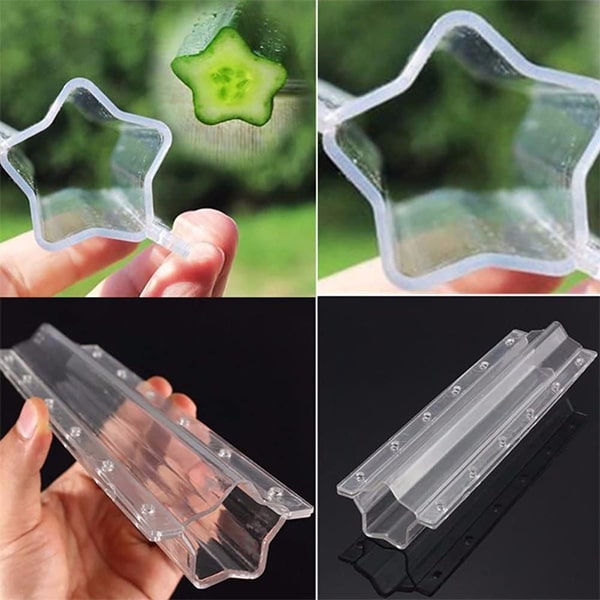 Fruit Shaping Mold (4 PCS)