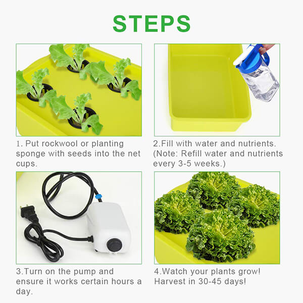 6 Sites Hydroponic System Growing Kit