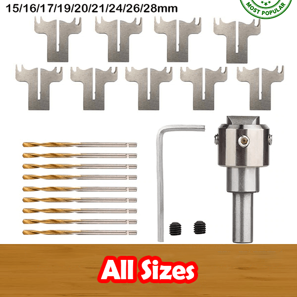 Ring and Button Drill Bit