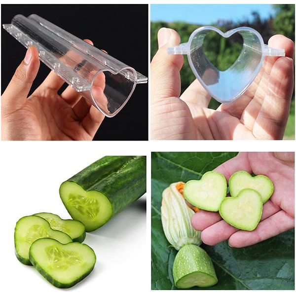 Fruit Shaping Mold (4 PCS)