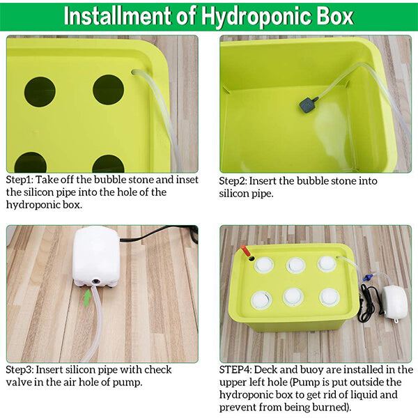6 Sites Hydroponic System Growing Kit