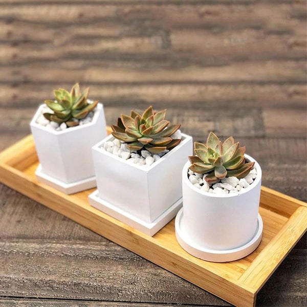Silicone Planter Molds