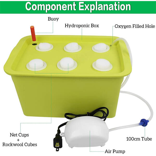 6 Sites Hydroponic System Growing Kit