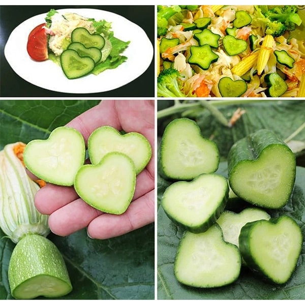 Fruit Shaping Mold (4 PCS)