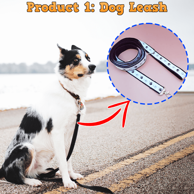 Dog Waste Bag and Leash PDF Download Pattern (3 sizes included)
