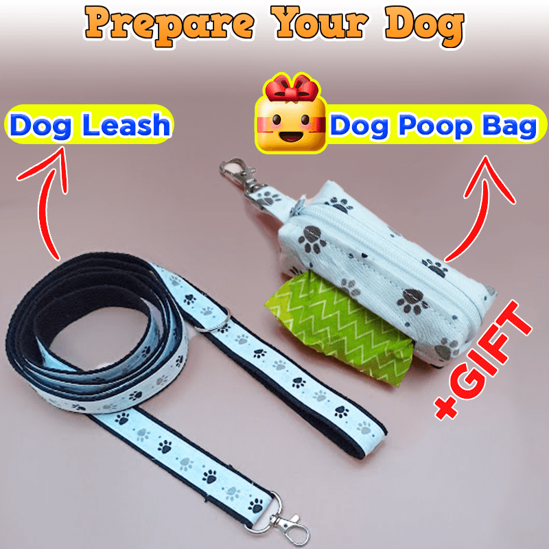 Dog Waste Bag and Leash PDF Download Pattern (3 sizes included)