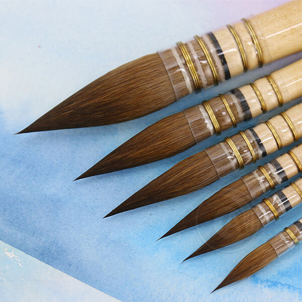Professional Watercolor Paint Brushes