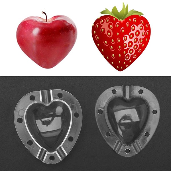 Fruit Shaping Mold (4 PCS)